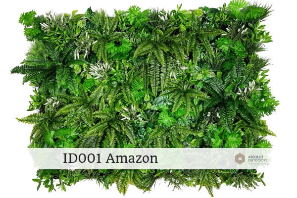 ID001-Amazon