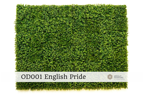 OD001-English-Pride