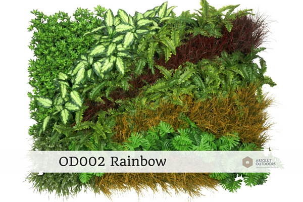 OD002-Rainbow