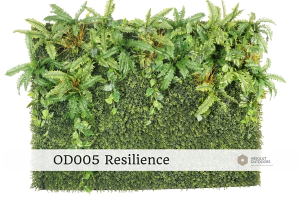 OD005-Resilience