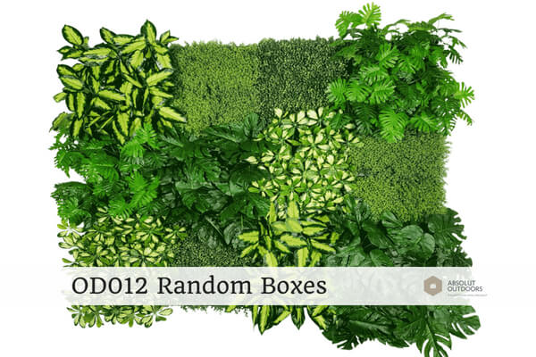 OD012-Random-Boxes
