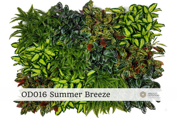 OD016-Summer-Breeze