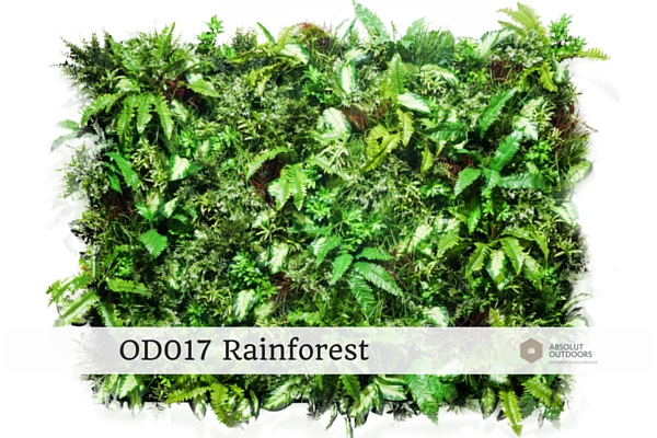 OD017-Rainforest1