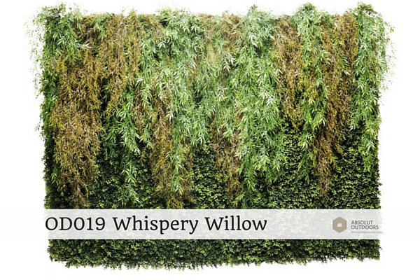 OD019-Whispery-Willow