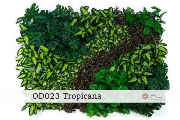 OD023-Tropicana