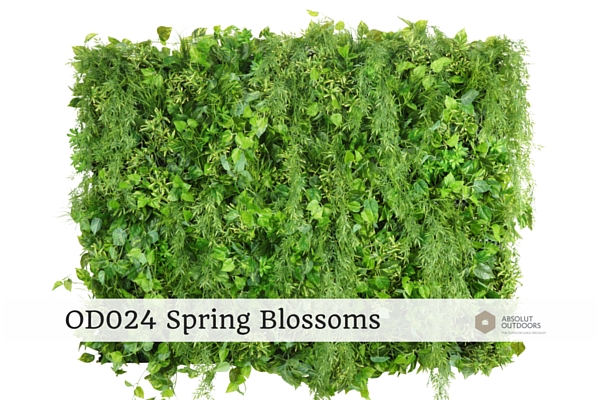 OD024-Spring-Blossoms