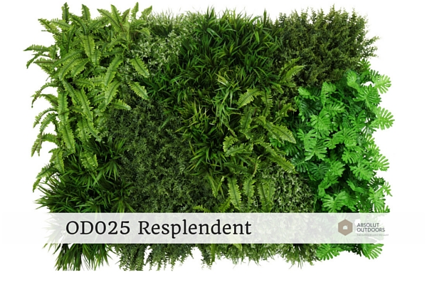 OD025-Resplendent