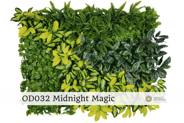 OD032-Midnight-Magic