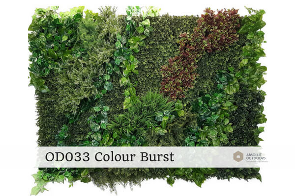 OD033-Colour-Burst