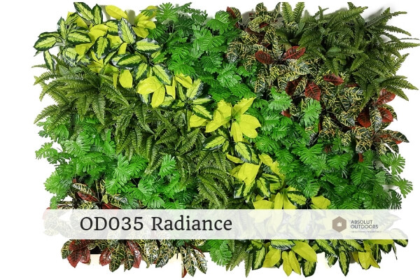 OD035-Radiance