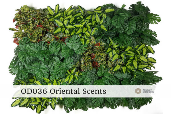 OD036-Oriental-Scents