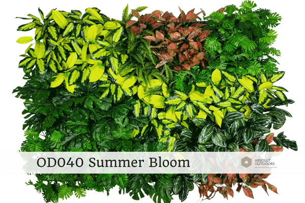 OD040-Summer-Bloom