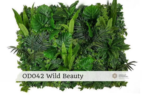 OD042-Wild-Beauty