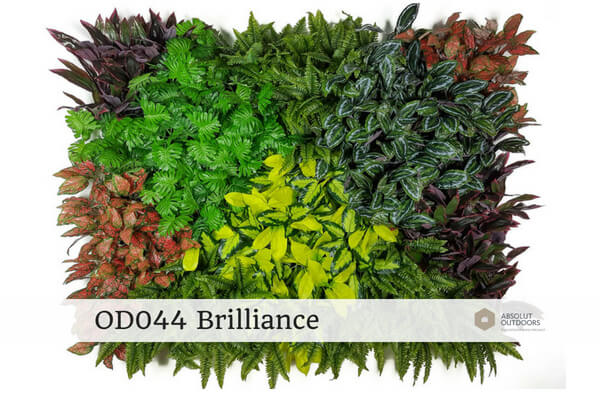 OD044-Brilliance