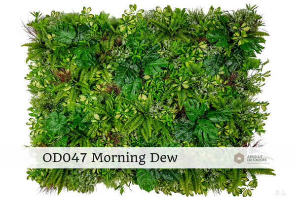 OD047-Morning-Dew