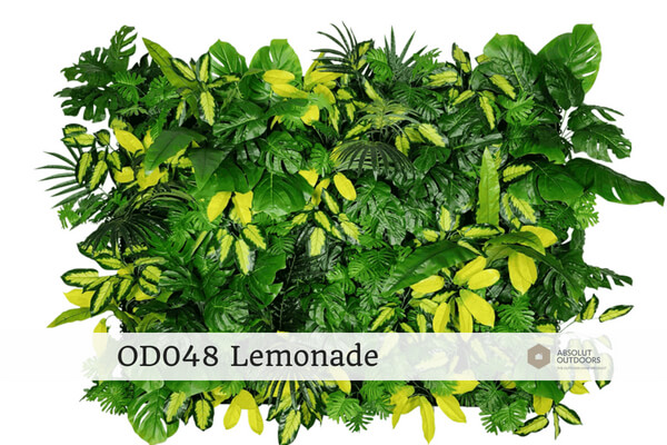 OD048-Lemonade
