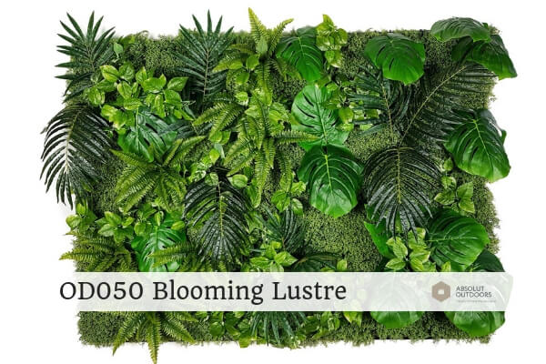 OD050-Blooming-Lustre