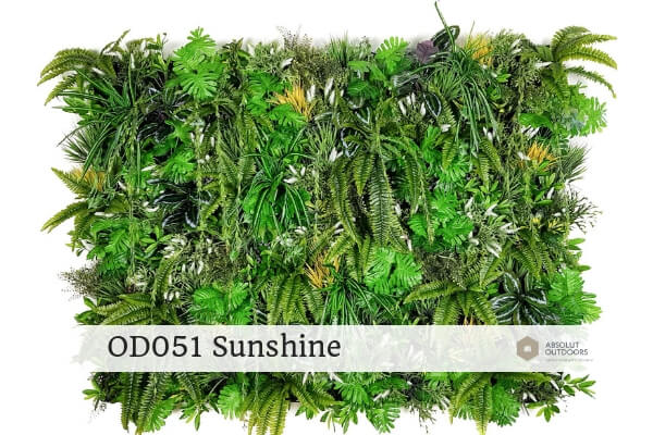 OD051-Sunshine