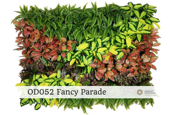 OD052-Fancy-Parade