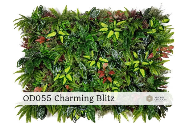 OD055-Charming-Blitz