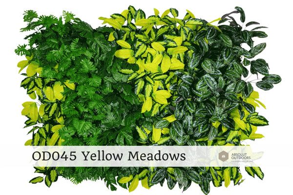 OD45-Yellow-Meadows